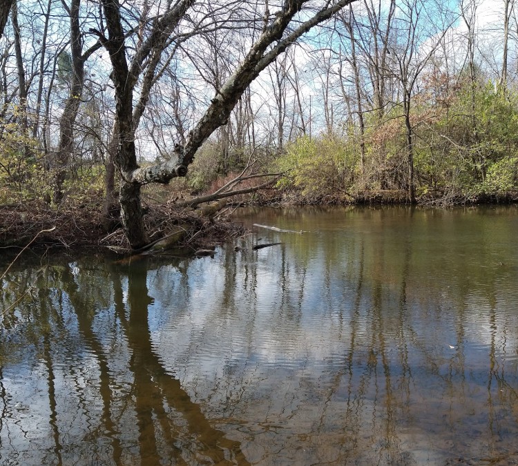 fishing-creek-park-photo